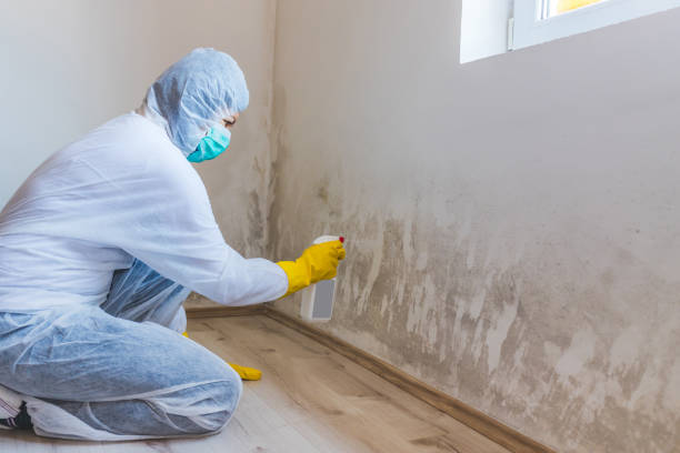 Mold inspector in Garwood performing thermal imaging